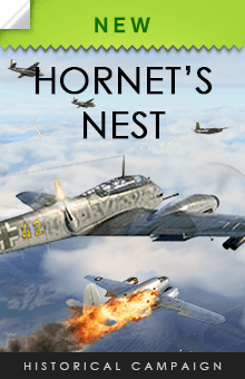 Hornet's Nest