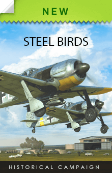 Steel Birds